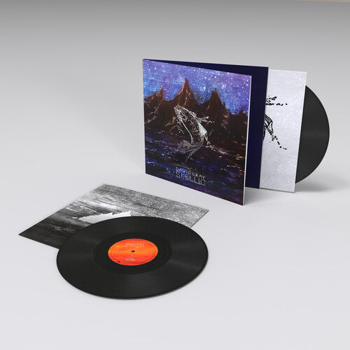 David Gray - Skellig (Gatefold LP Jacket) (2 Lp's) [Vinyl] (ONLINE ORDER ONLY)