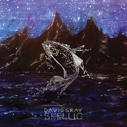 David Gray - Skellig (Gatefold LP Jacket) (2 Lp's) [Vinyl] (ONLINE ORDER ONLY)
