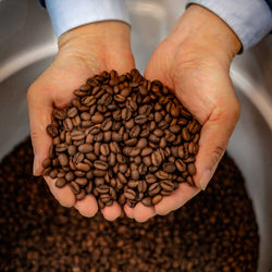 Enzyme Fermented Coffee 12oz (340g) (ONLINE ORDER ONLY)