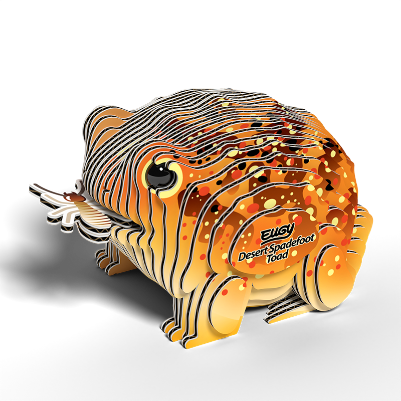 Desert Spadefoot Toad 3D Cardboard Model Kit Eugy (ONLINE ORDER ONLY)