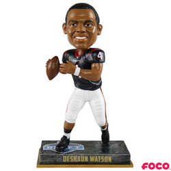 2017 NFL Rookie Series Bobbleheads (ONLINE ORDER ONLY)