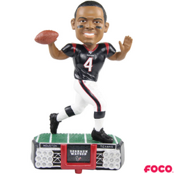 NFL Stadium Lights Bobbleheads (ONLINE ORDER ONLY)