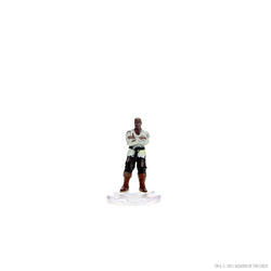 D&D: Icons of the Realms - Curse of Strahd - Denizens of Castle Ravenloft (ONLINE ORDER ONLY)