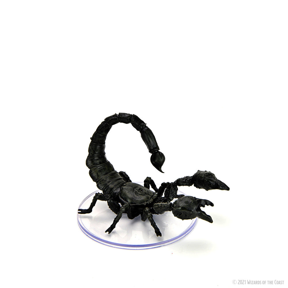 D&D: Icons of the Realms - Wild Shape & Polymorph (Set 1) (ONLINE ORDER ONLY)