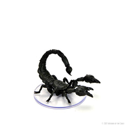 D&D: Icons of the Realms - Wild Shape & Polymorph (Set 1) (ONLINE ORDER ONLY)