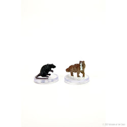 D&D: Icons of the Realms - Wild Shape & Polymorph (Set 1) (ONLINE ORDER ONLY)