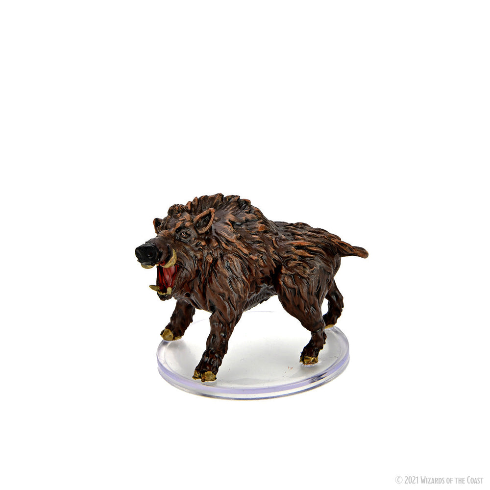 D&D: Icons of the Realms - Wild Shape & Polymorph (Set 1) (ONLINE ORDER ONLY)
