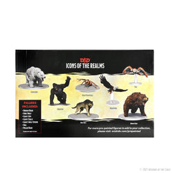 D&D: Icons of the Realms - Wild Shape & Polymorph (Set 2) (ONLINE ORDER ONLY)