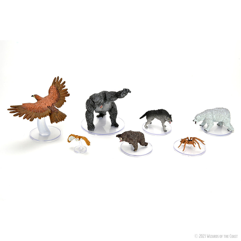 D&D: Icons of the Realms - Wild Shape & Polymorph (Set 2) (ONLINE ORDER ONLY)