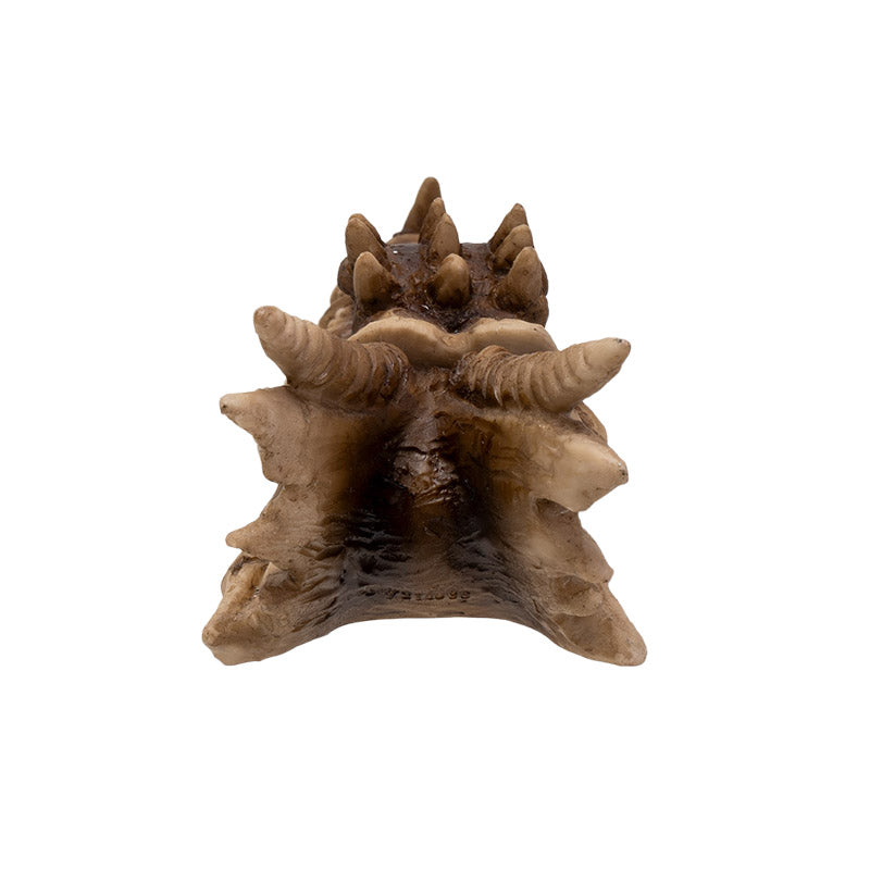 Dragon Skull Incense Holder (Online Order Only)