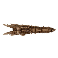 Dragon Skull Incense Holder (Online Order Only)