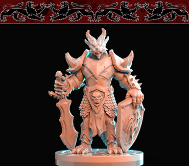 3D Printed Brayan Nafarrate Dragonborn with Lowered Sword and Shield 28mm 32mm D&D (Online Only)