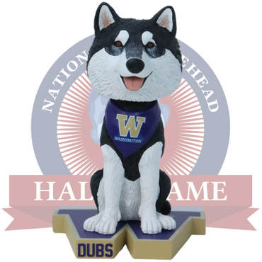 Dubs Washington Huskies Live Husky Bobblehead (ONLINE ORDER ONLY)