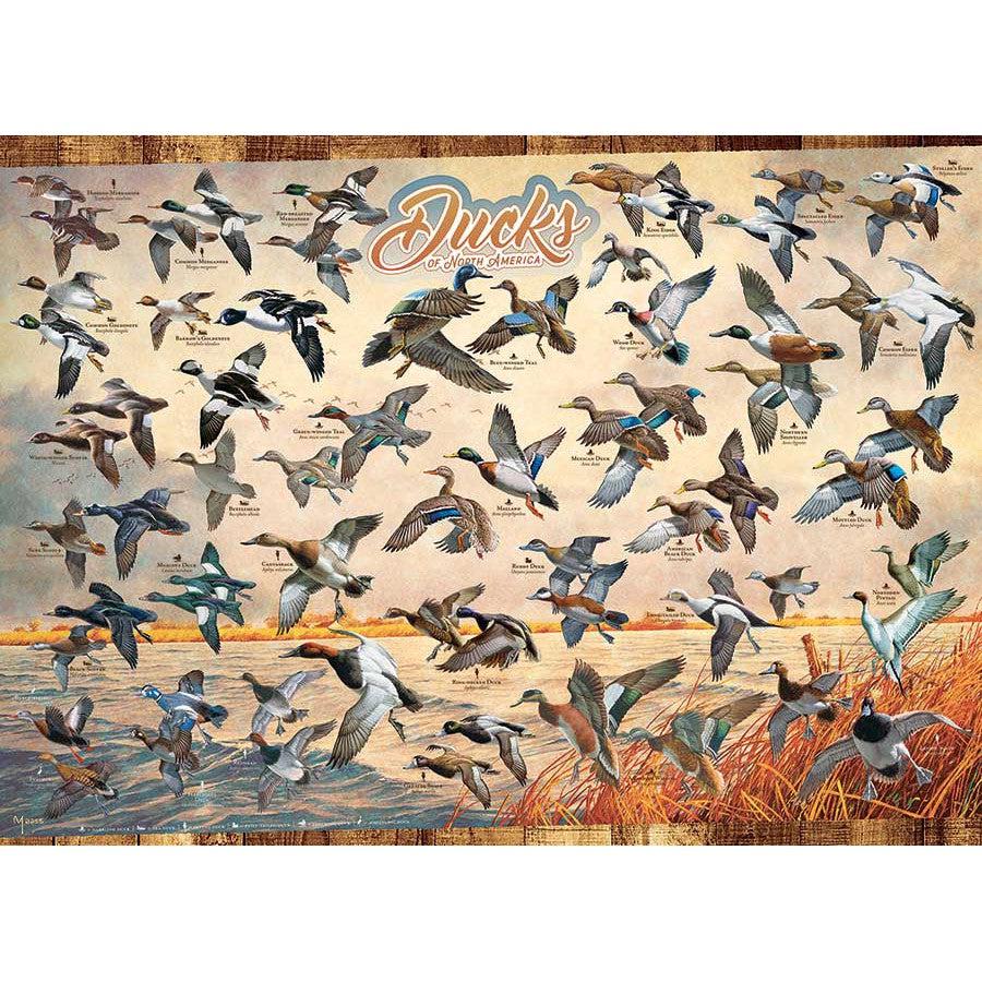 Ducks of North America 1000 Piece Jigsaw Puzzle Cobble Hill (ONLINE ORDER ONLY)