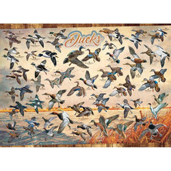 Ducks of North America 1000 Piece Jigsaw Puzzle Cobble Hill (ONLINE ORDER ONLY)