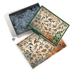 Ducks of North America 1000 Piece Jigsaw Puzzle Cobble Hill (ONLINE ORDER ONLY)