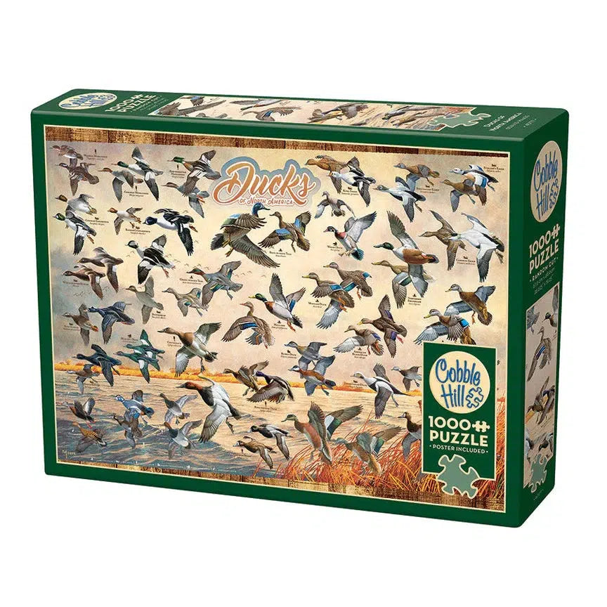 Ducks of North America 1000 Piece Jigsaw Puzzle Cobble Hill (ONLINE ORDER ONLY)