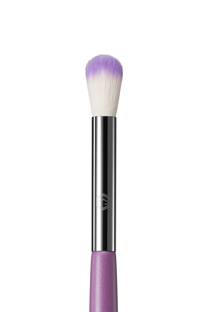 E06 - Tapered Blending Brush (ONLINE ORDER ONLY)