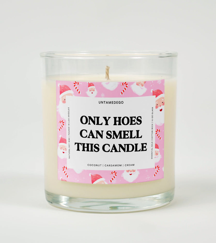 Only Hoes Can Smell This Candle | Funny Candle (ONLINE ORDER ONLY)