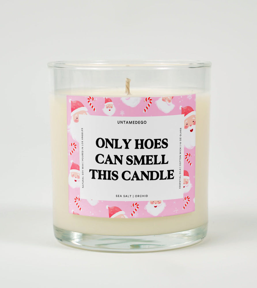 Only Hoes Can Smell This Candle | Funny Candle (ONLINE ORDER ONLY)