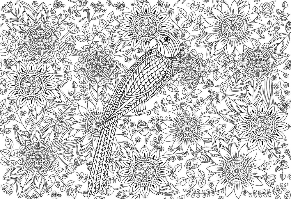Puzzle: Color-Me Collection - Beautiful Garden (ONLINE ORDER ONLY)