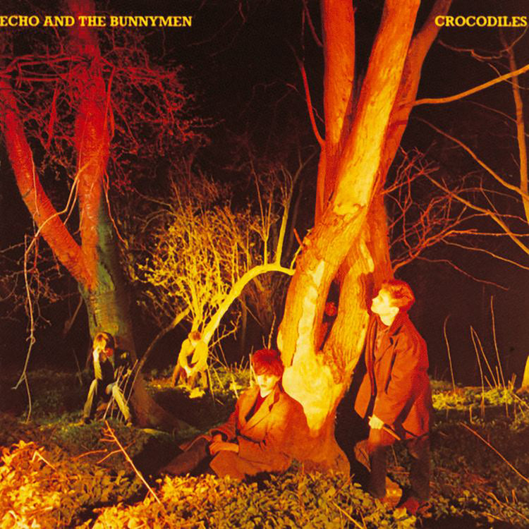 Crocodiles (1LP) [ROCKTOBER EXCLUSIVE] [Vinyl]