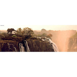 Elephant 1000 Piece Panoramic Jigsaw Puzzle Heye (ONLINE ORDER ONLY)