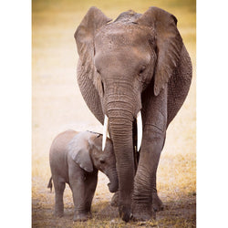 Elephant & Baby 1000 Piece Jigsaw Puzzle Eurographics (ONLINE ORDER ONLY)