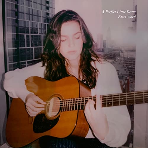A Perfect Little Death [Vinyl]