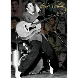 Elvis Presley Live in Olympia Theater 1000 Piece Jigsaw Puzzle Eurographics