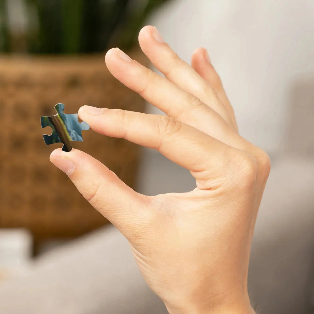 Explore Our National Parks 1000 Piece Jigsaw Puzzle Lantern Press (ONLINE ORDER ONLY)