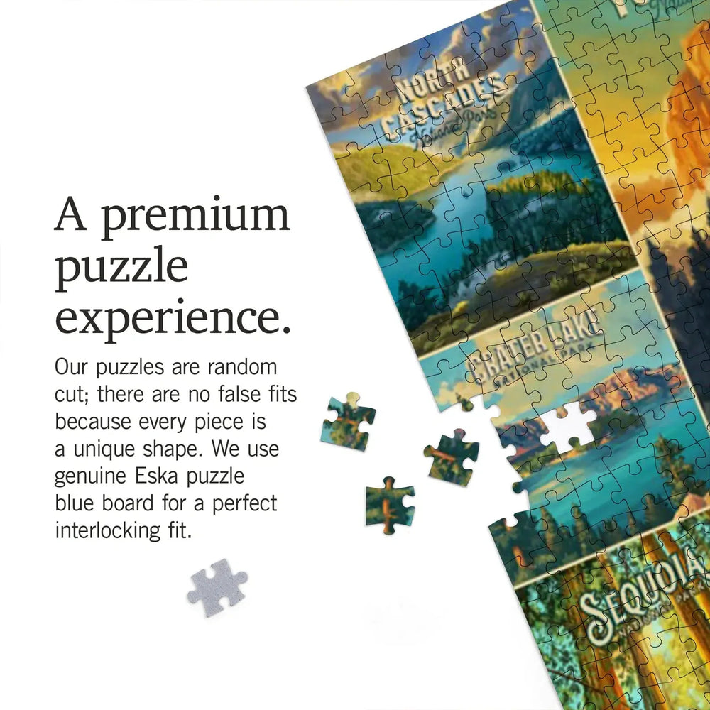 Explore Our National Parks 1000 Piece Jigsaw Puzzle Lantern Press (ONLINE ORDER ONLY)