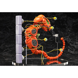 figma: R-Type - Dobkeratops Sp-113 (ONLINE ORDER ONLY)