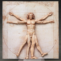 figma: The Table Museum - Vitruvian Man (2nd Re-Run) (ONLINE ORDER ONLY)