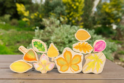 Stacking Leaves; Leaf Identification (ONLINE ORDER ONLY)