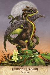 Field Guide To Garden Dragons (ONLINE ORDER ONLY)
