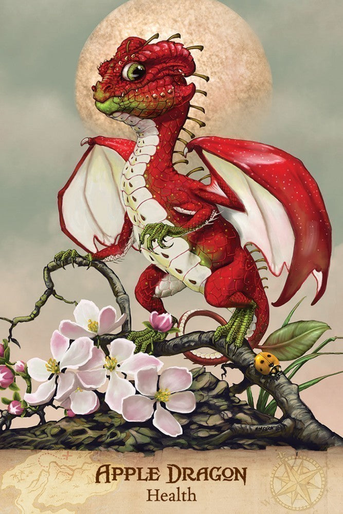 Field Guide To Garden Dragons (ONLINE ORDER ONLY)