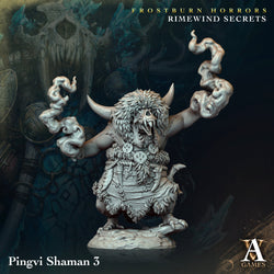 3D Printed Archvillain Games Frostburn Horrors Rimewind Secrets - Pingvi Shaman 28mm 32mm D&D (Online Only)
