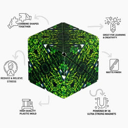 Shashibo: Forest (ONLINE ORDER ONLY)