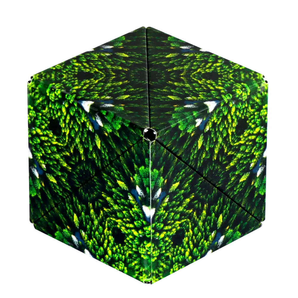 Shashibo: Forest (ONLINE ORDER ONLY)