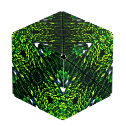 Shashibo: Forest (ONLINE ORDER ONLY)