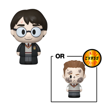Funko POP! Mini Moments: Harry Potter 20th Anniversary - Harry Vinyl Figure (ONLINE ORDER ONLY)