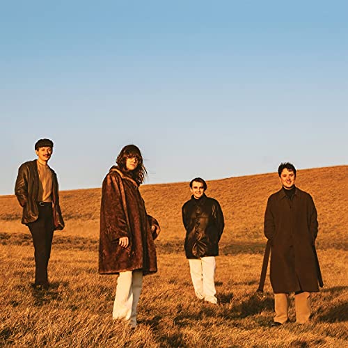 When You Walk Away [LP] [Vinyl]