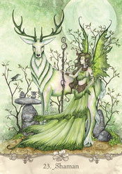 Fairy Wisdom Oracle Deck and Book Set (ONLINE ORDER ONLY)