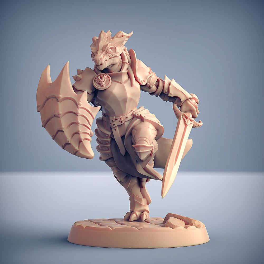 3D Printed Artisan Guild Modulars Dragonguard The Dragonguard 28mm 32mm (Online Only)