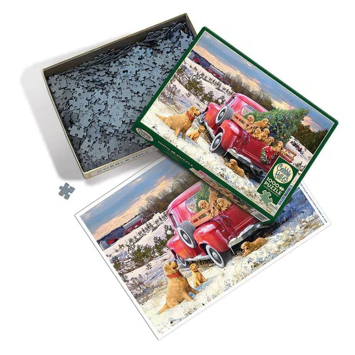 Family Outing 1000 Piece Jigsaw Puzzle Cobble Hill (ONLINE ORDER ONLY)