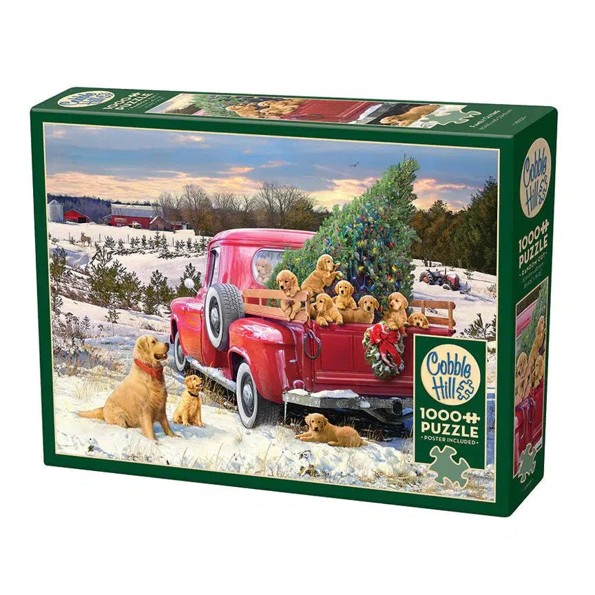 Family Outing 1000 Piece Jigsaw Puzzle Cobble Hill (ONLINE ORDER ONLY)