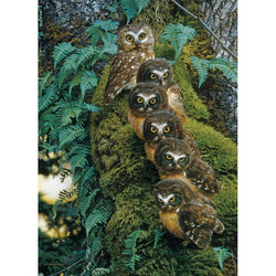 Family Tree 1000 Piece Jigsaw Puzzle Cobble Hill (ONLINE ORDER ONLY)
