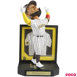 Framed Jersey Bobbleheads (ONLINE ORDER ONLY)
