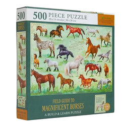 Field Guide To Magnificent Horses 500 Piece Jigsaw Puzzle Insights